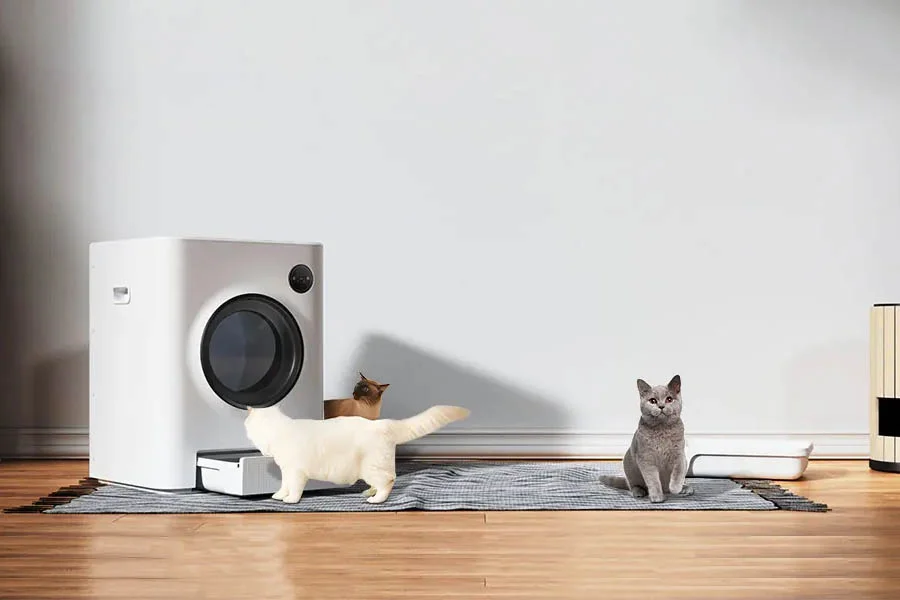 auto scooping litter box